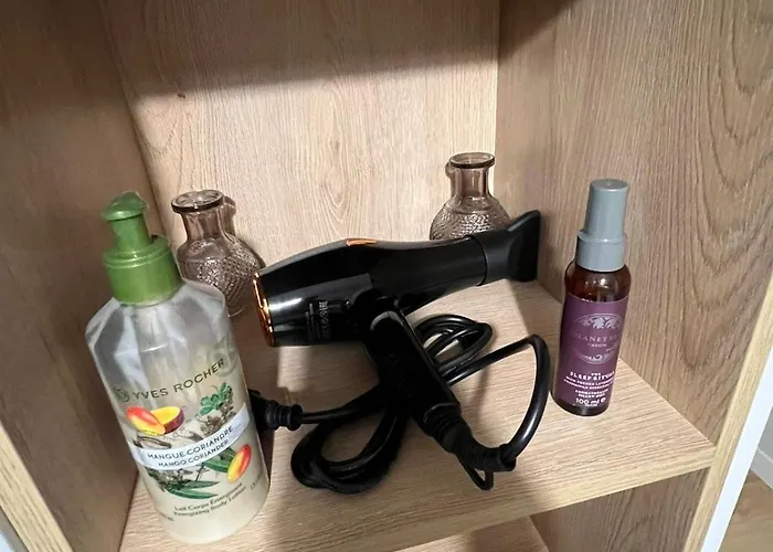 Ring Center Downtown Apartman *